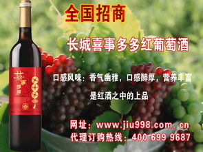 世界酒類巡禮 探索全球主要酒類產(chǎn)品庫